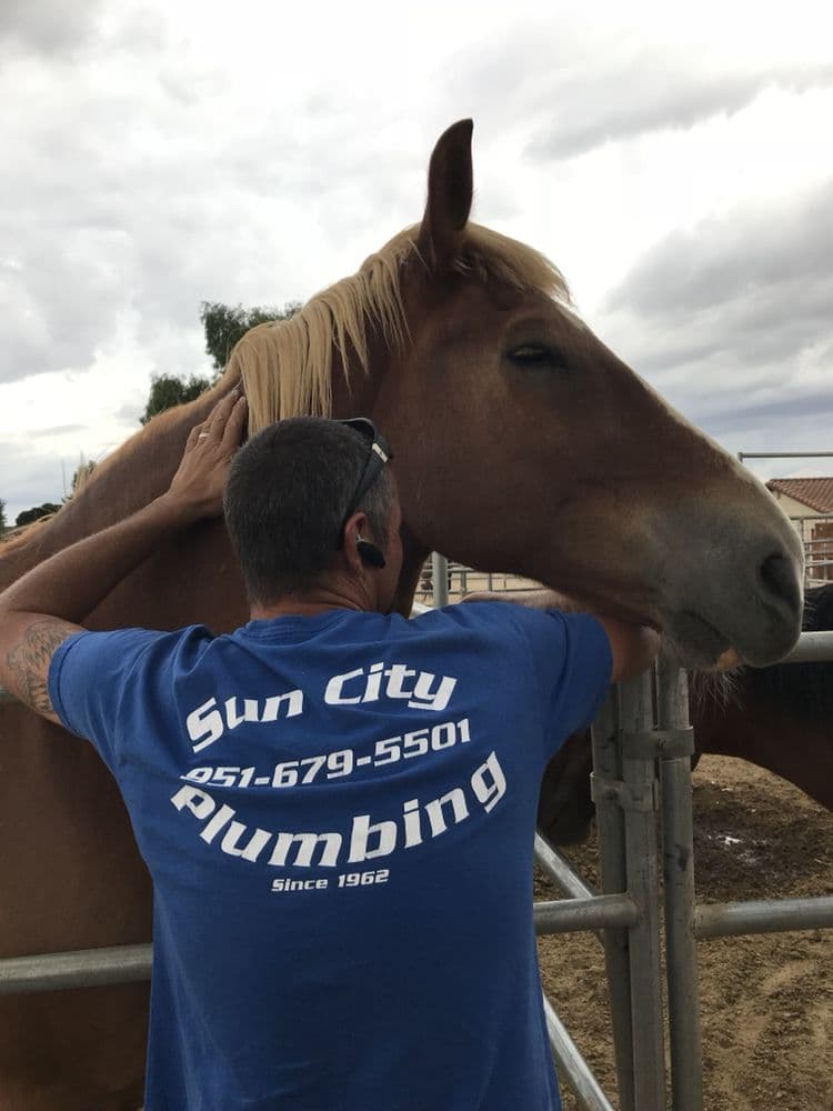 Sun City Plumbing's owner in his branded shirt greeting a customer's horse on a job in the Menifee Valley